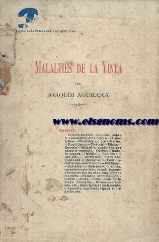 Malalties de la Vinya.