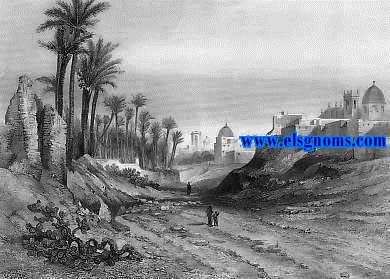 Album Pittoresque de l'Espagne (Elche). Vues, monuments, types. Dessins et gravs sur acier par les plus habiles artistes. 