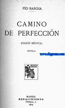 Camino de perfeccin (Pasin mstica). Novela.