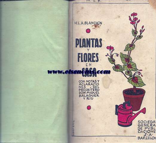 Plantas y flores en casa.