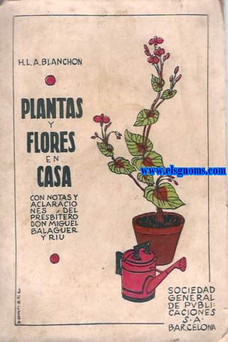 Plantas y flores en casa.