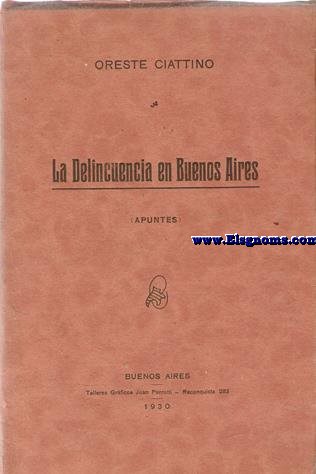 La Delincuencia en Buenos Aires (Apuntes).