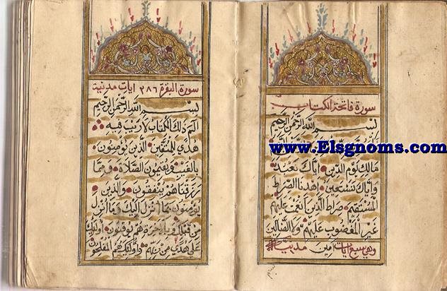 Coran. Manuscrito islmico sobre papel con las dos primeras pginas (enfrentadas) bellamente decoradas en oro y color tipo mezquita.Totalmente manuscrito con 11 lineas por pgina.Con puntos rojos separando cada verso. Con numerosos comentarios en rojo en los mrgenes. El principio del libro est escrito en rabe,pero despus se intercala el persa entre el texto.