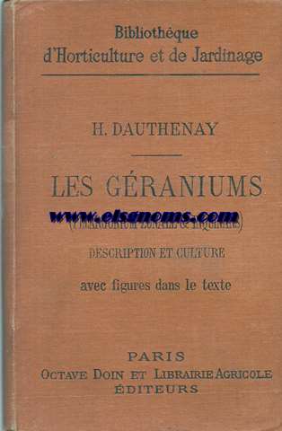 Les Graniums (Pelargonium zonale & Inquinans).Description et culture.