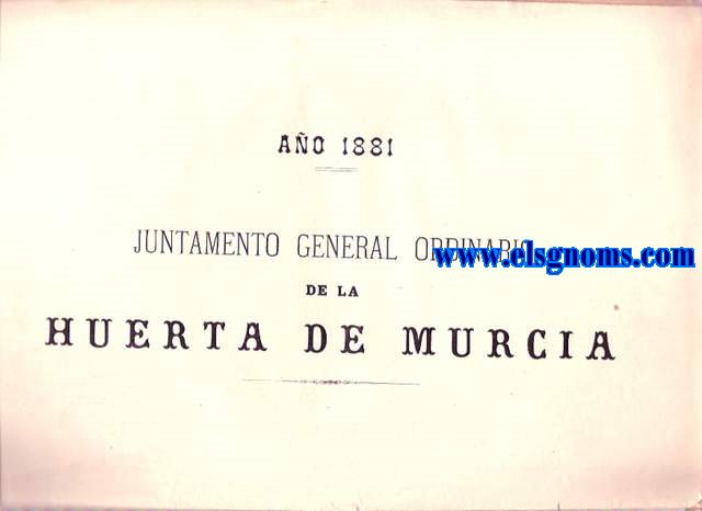 Juntamiento ordinario de la Huerta de Murcia. Documentos y discursos.Ao 1881.