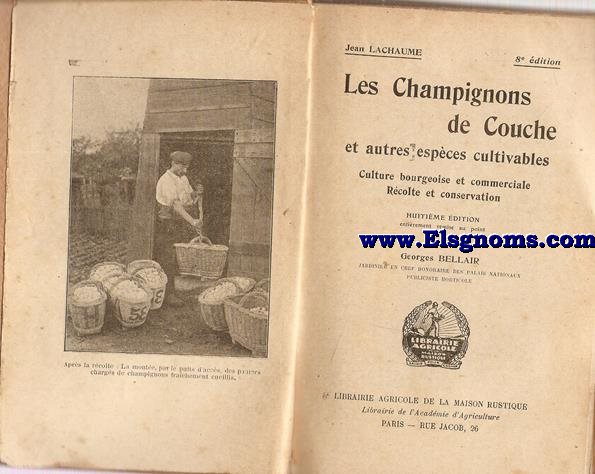 Champignons de couche et autres espces cultivables.