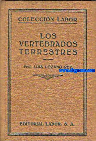 Los vertebrados terrestres.