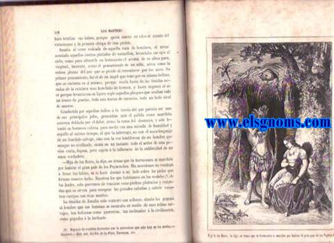 Los mrtires de Buenos Aires  el verdugo de su repblica. Novela.