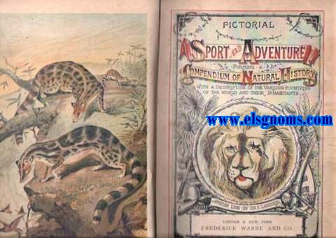 Pictorial Sport and Adventure, being a record of deeds of daring and marvellous escapes by Field and Flood. With an account of various countries of the world and their inhabitants: the whole forming a compendium of natural history.