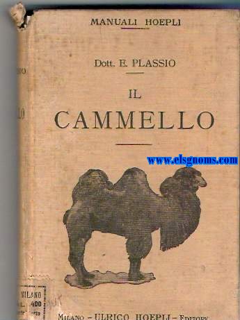 Il Cammello.
