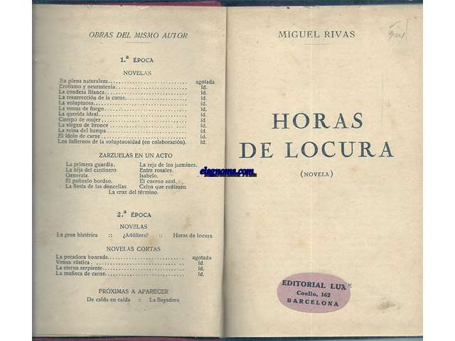 Horas de locura (Novela).