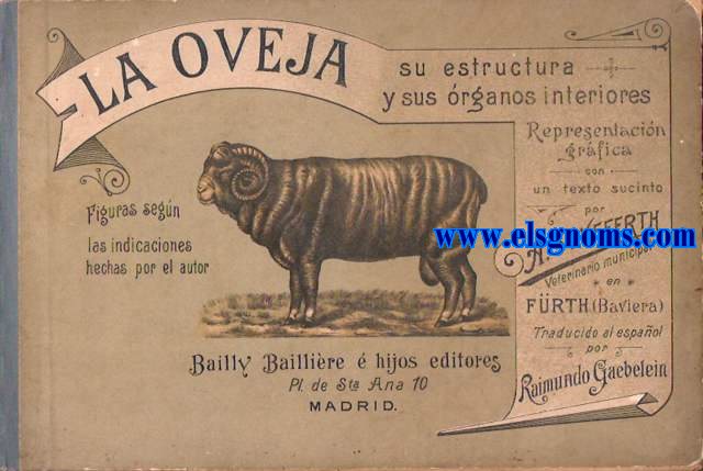 La Oveja. Su estructura y sus rganos interiores. Representacin grfica con texto sucinto por A.Seyfferth, veterinario municipal en Frth (Babiera). Traducido al espaol por Raimundo Gaebelein.