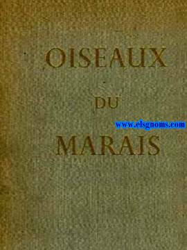 Oiseaux du Marais.