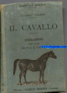 Il cavallo. Catalogo.