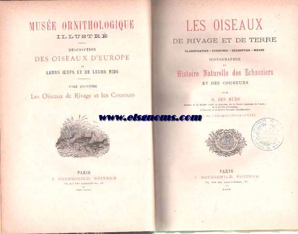 Les Oiseaux de Rivage et de Terre. Classification, synonymie, description, moeurs. Iconographie et Histoire Naturelle des Echassiers et des Coureurs. Par O.des Murs,... Avec 65 chromolitographies.