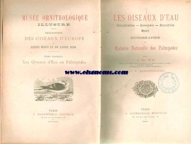 Les Oiseaux de Eau. Classification, synonymie, description, moeurs. Iconographie et Histoire Naturelle des Palmipdes. Par O.des Murs,... Avec 80 chromolitographies.