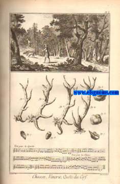 Recueil de planches, sur  les sciences, les arts libraux, et les arts mchaniques, avec leur explication. Chasses, contenant vingt-trois planches.