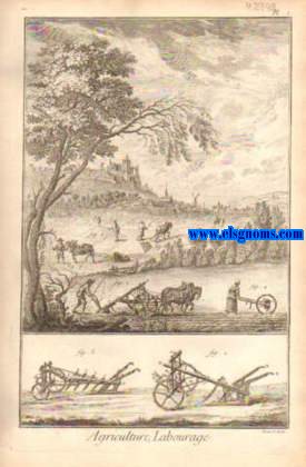 Recueil de planches,sur les sciences, les arts liberaux et les arts mchaniques, avec leur explication. Agriculture, Labourage. Contenant 5 planches.