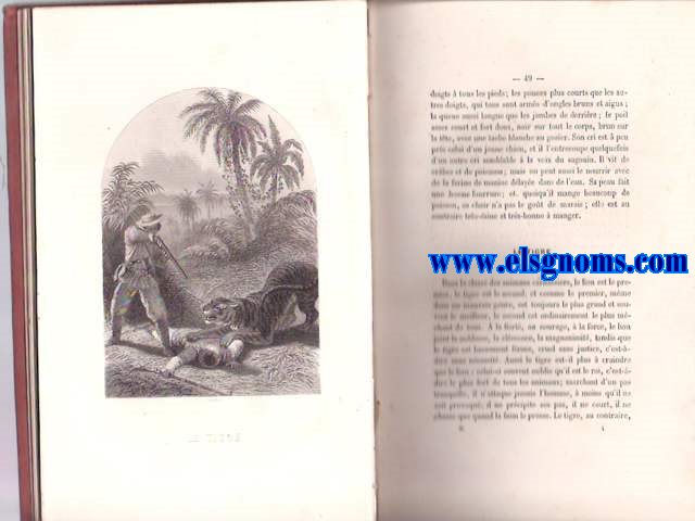 Histoire naturelle des Carnassiers et Rongeurs .