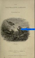 Mammalia. British Quadrupeds. Vol. XVII. 