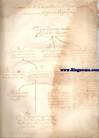 Regia Sententia lata ad relationem consultissimi senatoris Domini Hieronymi Astor, in qua fuit declaratum fideicommissum perpetuum Domus nobilis Ioannis Baptiste Terre.... Unit un full manuscrit que diu: Arbre de la descendencia de Miquel arriera, Senyor de Volpellach