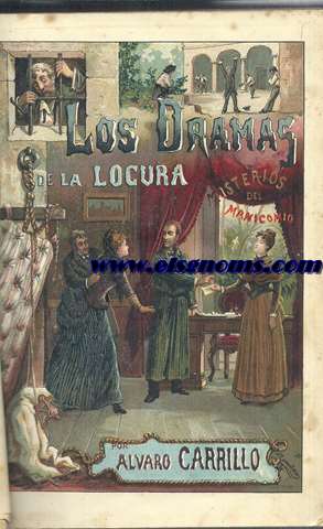 Los dramas de la locura (Misterios del manicomio). Novela original.